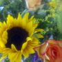 Excusesbloemen van de zorgverleners-organisatie omdat ze vandeweek n brief stuurden gericht aan mijn 12 jaar geleden overleden zus.