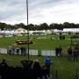 Rustig op terrein Military Boekelo. #mbe13 #dressuur