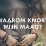 "Een leuke vraag waar dit stuk ook over gaat is: ‘waarom knort onze maag?’ en het antwoord ‘omdat we honger hebben’ is niet juist".
Benieuwd naar het nieuwe stuk van @vitalitien? Link in bio! #spijsvertering #voeding