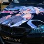 【ひめたま痛車FESTA07】今回はミクさん率がさほど高くなかった印象 #足利痛車祭