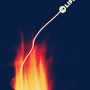“Life”

A single spark is sometimes all that's needed. 
One Photo a Day Project #082
.
