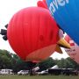 En de mooiste: de Angry Bird @TwenteEvent #twenteballooning