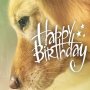 あ、今日はなちん誕生日！！