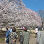 【天平の丘公園】お客さんがどんどん増えてｸﾙ━━(ﾟ∀ﾟ)━━!! 