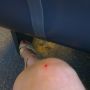 Knie keihard gestoten met instappen in de trein :(