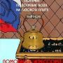 @makars да тебя, мурзилку, ретвитнули. В общем успакойся и не ной. Будь мужиком  