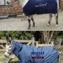 Neighhhhhhhhhh 
