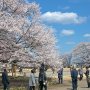 【天平の丘公園】しかし日頃の行いの賜物か、11時頃には急速に天候が回復し快晴へｗ イヤッッホォォォオオォオウ！ (´∀｀ / / 