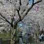 更にグンマー遠征は続きます 今度は大泉町の城之内公園にやってｷﾀ━━ヽ(ﾟ∀ﾟ )ﾉ━━!!