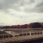 紅葉シーズン到来ッスな！(๑´ㅂ`๑)さて、ここど〜こだ！