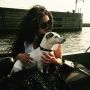 Tijger de aller leukste hond van de wereld @gwenmaduro eb @brianent 