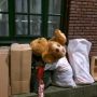 Ik kan hier dus niet tegen he...#teddybeer #grofvuil