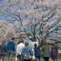 【天平の丘公園】看板の効果はそれなりにあるようだ 皆さん食い入るように読んでました 