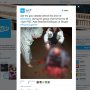 Deze foto (zonder blur) werd net getweet door @Skype. Daar gaat iets niet helemaal lekker.




