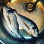 Time for fish... 🐟🐟