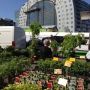 Markt(hal).