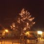 Christmas preperations.. <3