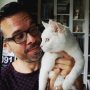 Omdat katten het ALTIJD goed doen op internet krijgt deze kanjer een gastrol in m'n tweede Orlandovlog! Link in bio