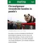 Blaffende panda's
