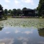 Concert @nedsym tijdens Kunst in het Volkspark Enschede
