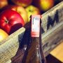 Launch of first Rotterdam cider: RAM cider 🍎
