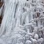 【雪山を行く】見上げればキノコがいっぱい♪