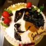 ジョン7歳おめでとぅ！▼･。･▼ノ