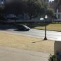 De plek waar de beroemde beelden van de aanslag op JFK werden gemaakt. #dealeyplaza #dallas