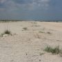 Lijkt het strand van Ameland wel... #anatasiastatepark