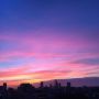 City clad in purple, should be a delightful day tomorrow 
#rotterdam #bypopulardemand