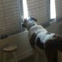 Bu was sad I left today :( 