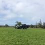 Hawaii for 12 hours. Torture. But always better than 0 hours. :)
FJ's are rad. 