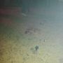 Midden op de dansvloer, een plas bloed. Gaat er soms hard aan toe op Snowbombing