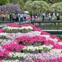 【あしかがフラワーパーク2017】水上花壇 相変わらず手摺のない狭い通路だｗ 落っこちる人いないん？ｗ 