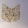My 13 year old drew this . Impressed me anyway .