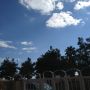 @terryCab1966 getting cloudy now lol