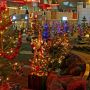 【さよなら100本のクリスマスツリー】つくば駅前広場でやってた頃はこんな感じだった