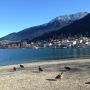Queenstown, #NewZealand <3 so quaint! 