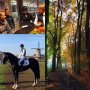 Vandaag dagje SGW Bathmen gehad met het Jiansung team, na een matige dressuur gingen 4 van de 5 combinaties goed in springen en de cross. Eentje ging niet in de cross en is gestopt. Met het prachtige weer vandaag hadden we een fantastische afsluiting van het Nederlandse eventingseizoen!!!
Volgende week met dezelfde groep naar Meer ( België), daarna ik zelf nog naar Ravenna ( Italië) #TicketToRio #jiangsuteam #RuitersInOranje #AandeelInElkaar