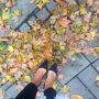 Fall is so gorgeous in Sweden...