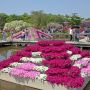 【あしかがフラワーパーク2015】お次は水上花壇へ移動
