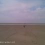 Breed strand