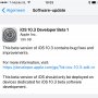 Krijgen we dit zo te zien? 

iOS 10.3 beta 1?

