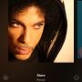 New Prince track - Stare