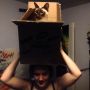 Moving the cat...