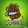 ELEPHANT MAN - WEED - SINGLE #ITUNES 4/22/16 #PREORDER 4/8/16 @ElephantManJa