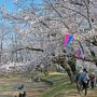 【城之内公園】駐車場は大混雑してましたが園内は割りと空いてたｗ あのクルマの数は一体？ｗ