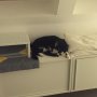 Suzi lodged inbetween Alan's window viewing equip, pretending she's asleep so she can stay in the room tonight.