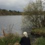 Kolkven, het grootste ven, stamt uit de oertijd