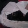 Poes ook weer blij dat ik boodschappen heb gedaan :D